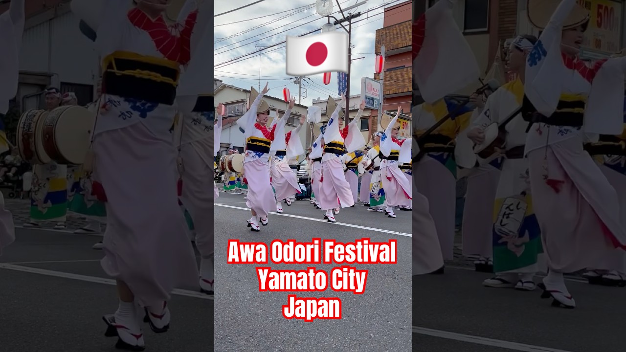 Awa Odori Festival, Japan