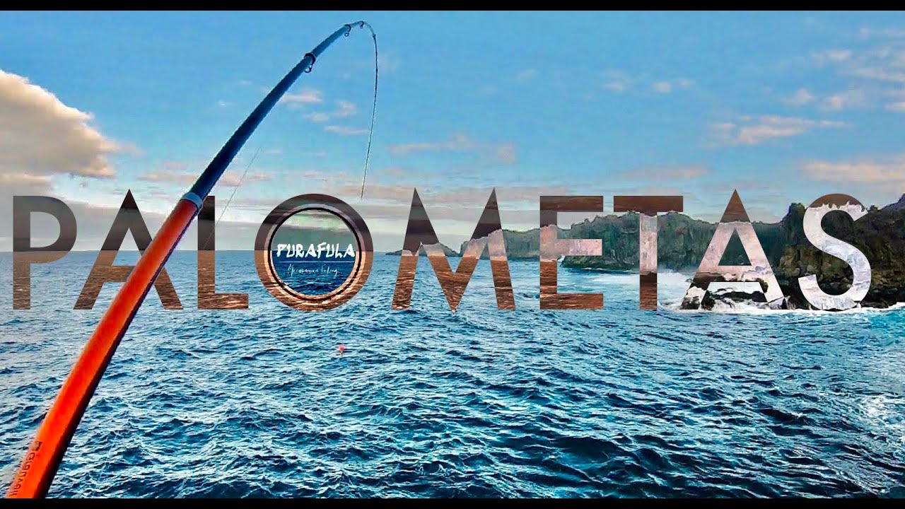 Pesca a boya en Canarias: PALOMETAS