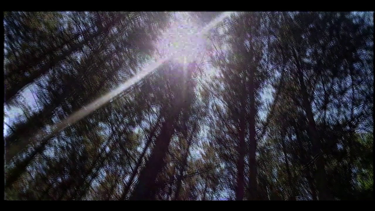 Summer 2017 -  A week. [VHS EDIT]