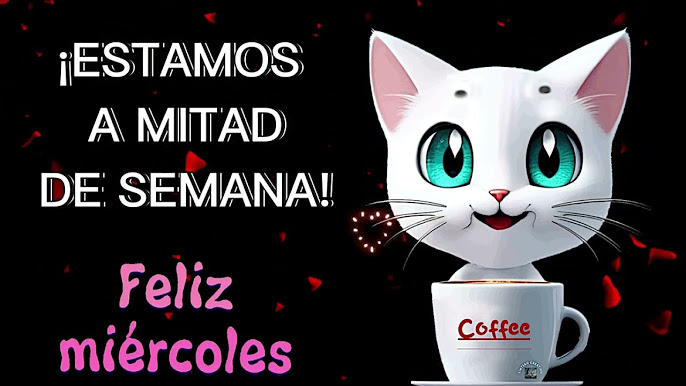 FELIZ MIÉRCOLES - YouTube