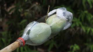 How to Make Coca Cola Bottle Fruit Picker