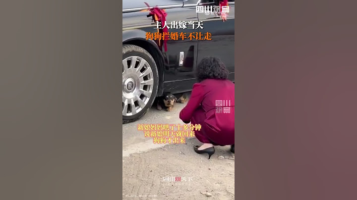 【淚目！#主人出嫁狗狗攔住婚車不讓走#】4月26日，山東濟寧。主人出嫁，狗狗攔著婚車不讓走，眼睛濕漉漉的。新娘母親哄了很久，最後才依依不捨地離開。狗狗流淚的眼睛讓人淚目了~ ​ - 天天要聞