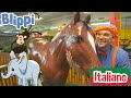 Blippi alla scoperta degli animali della giungla | Blippi in Italiano | Video educativi per bambini