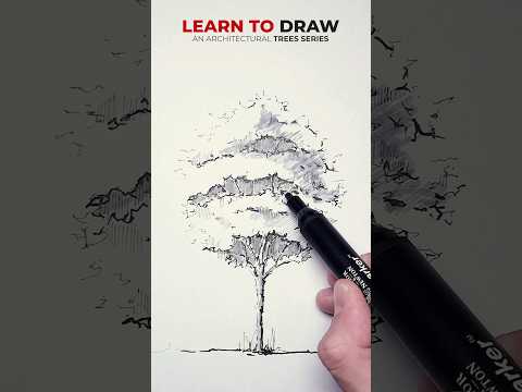 Drawing a Tree