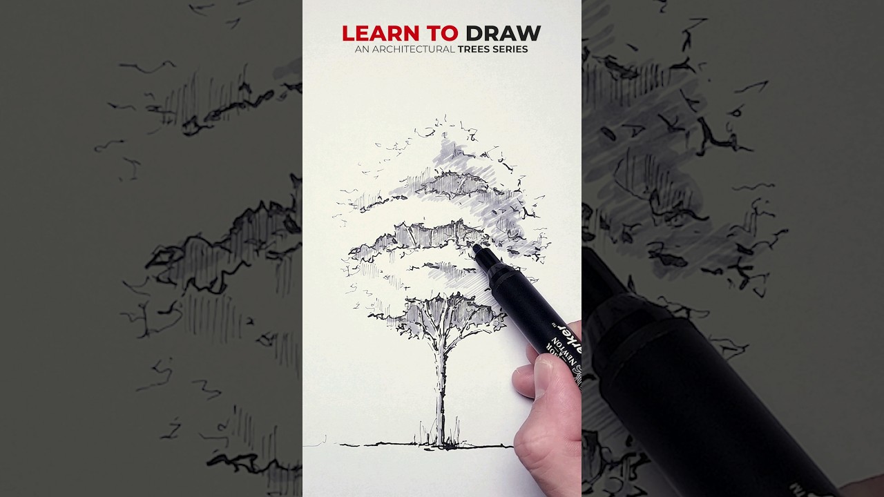 Drawing a Tree for Architecture 