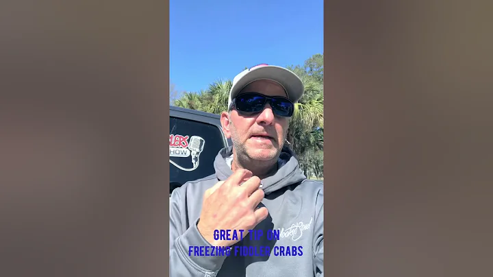 Frozen Fiddler Crabs Catch Big Sheepshead in SC