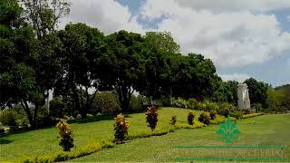 Jardines Del Recuerdo - Jardín De La Paz