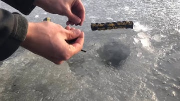 The ultimate fire starter. Black Beard Fire Starters!