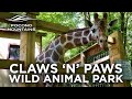 Claws n paws wild animal park  pocono mountains