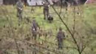 Savo Cvijanović Gater By Zwrle