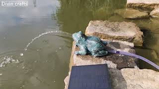 Floating bronze frog solar fountain water