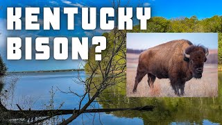 BEST OF KENTUCKY  LAND BETWEEN THE LAKES  (Hiking with Bison)