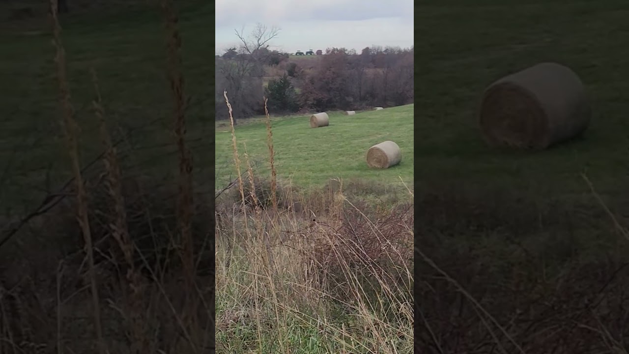 Bucks cruising midday, starting to free up from lockdown 
