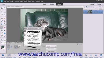 Photoshop Elements 12 Tutorial Using the Brush Preset Picker Adobe Training Lesson 7.1