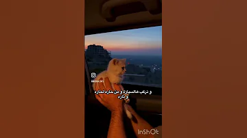طب شو رأيك نعمل فتله Freepalestine بدون موسيقى اكسبلور اعتني شلتنا 