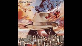 🎧 Weather Report - Harlequin