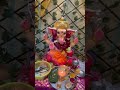 Deva shree Ganesha, deva shree Ganesha #सुखकर्ता दुखहर्ता #गणपति बप्पा मोरया #ganpatibappamorya