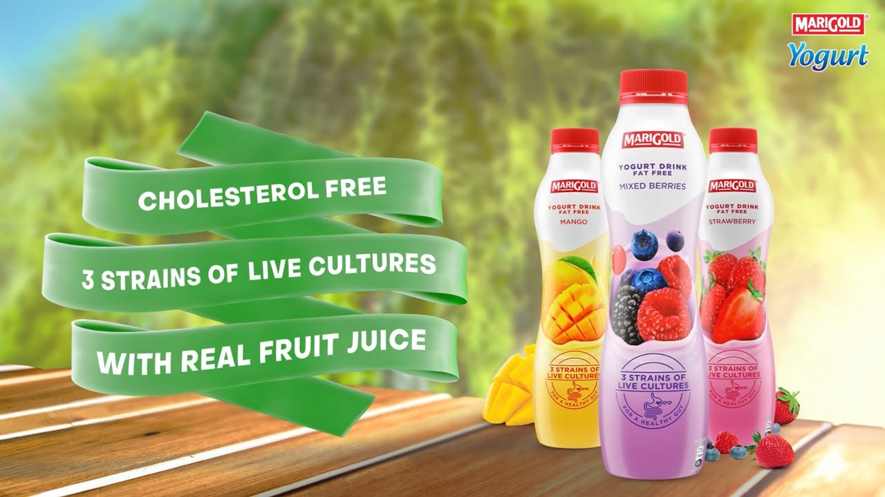 Nourishment On-the-Go | MARIGOLD Yogurt