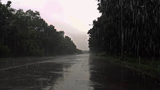 heavy rain with thunder, rain sounds for sleeping, relaxing, study meditation 052024