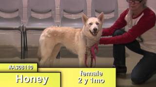 Humane Touch - March 2016 - St. Charles County Government, MO