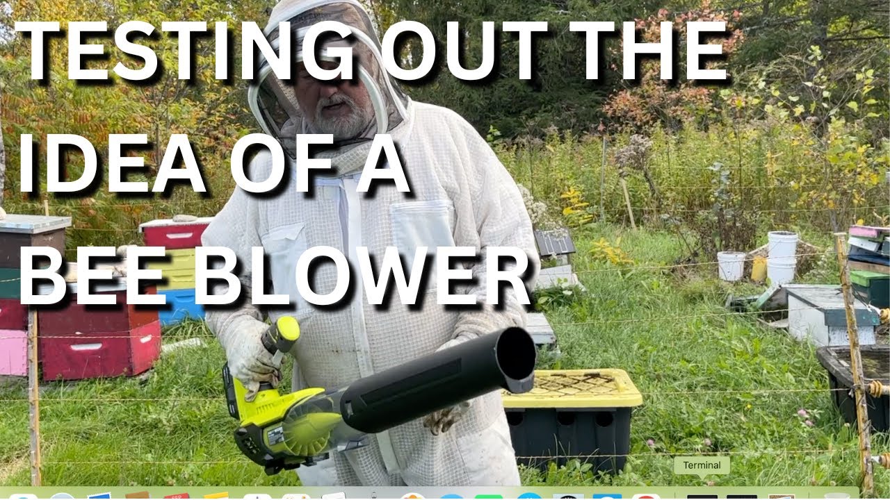 Testing out the idea of a bee blower YouTube