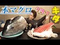 【大食い】100万円クラスの鮪のカマトロの破壊力が凄すぎた～裏ルートでこれが0円？！～