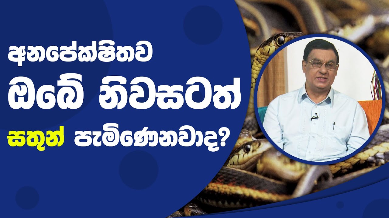 අනපේක්ෂිතව ඔබේ නිවසටත් සතුන් පැමිණෙනවාද? | Piyum Vila | 07 - 12 - 2021 | SiyathaTV
