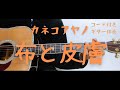 【ギターコード付き】カネコアヤノ/布と皮膚【アコギ弾いてみた】
