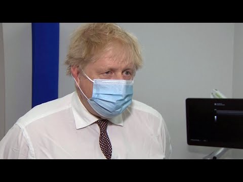 'Humbly apologize': Boris Johnson denies lying about parties