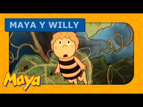 Maya y Willy 🐝🐝 Saltando hacia la tela de araña