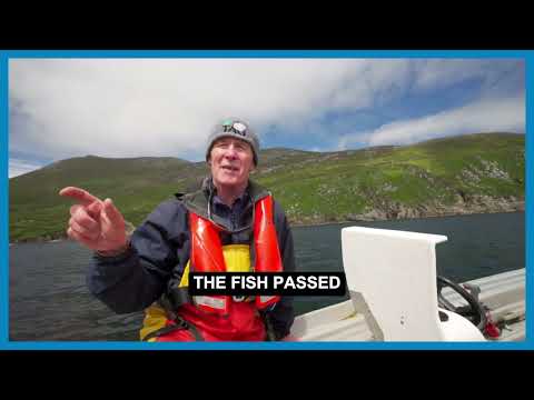 Basking Shark Tagging - how the data is retrieved