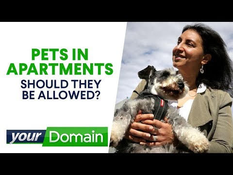 Wideo: Czy możesz mieć zwierzęta w mieszkaniach?