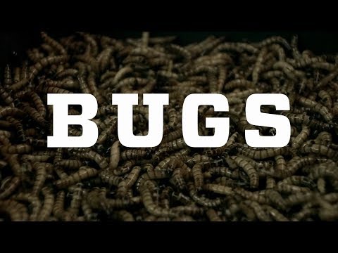 Bugs – Official Trailer