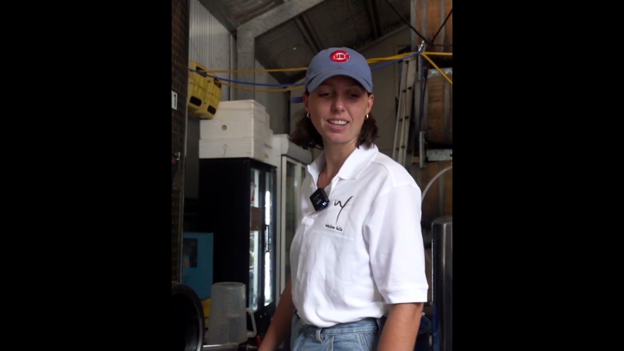 Meet the Producers Witches Falls Winery