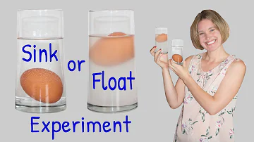 Sink or Float? | Cool Science Experiment for Kids