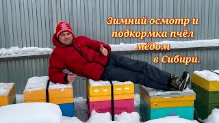 Зимний осмотр и подкормка пчёл мёдом в Сибири.