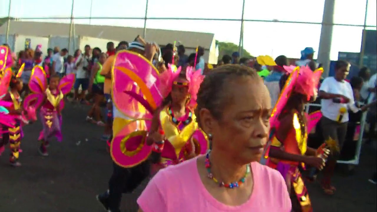 Grenada Carnival 2014 clip 4