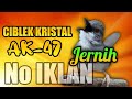 Masteran ciblek kristal ak 47 suara jernih