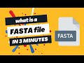 What Is A FASTA File