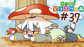 【 あつまれどうぶつの森 】11月を心の底から満喫しよう #37【白瀧炬燵/One Lyric】
