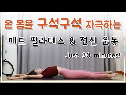 잠자고 있는 전신근육을 깨우자 l 중급 (Whole body workout)