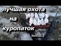 лучшая охота на куропаток  выезд 3