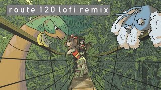 Route 120 Lofi Remix || Pokemon Ruby/Sapphire/Emerald (ORAS)