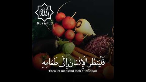 فلينظر الإنسان إلى طعامه | مقاطع دينية قصيرة قرآن كريم مع الترجمة