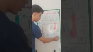 Chimie en solution | pile de Daniel عمود دانيال
