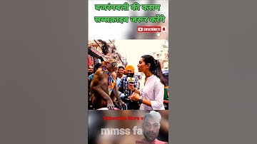 Monkey Ai vlog. vairl vlog monkey, kedarnath monkey vlog, #aivlogger​ #monkeyvideo​ #monkey​ vlogs,