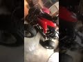 Honda 400ex build