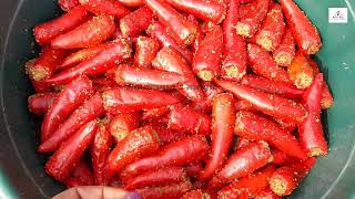 लाल मिर्च का भरवां अचार |लाल मिर्च का देशी भरवां आचार |Stuffed Red Chili Pickle-Lal Mirch ka Achaar