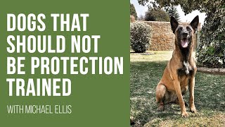 Michael Ellis on Dogs that Should Not be Protection Trained