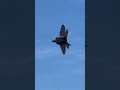 Air Force #military #youtubeshorts #short #militarylife